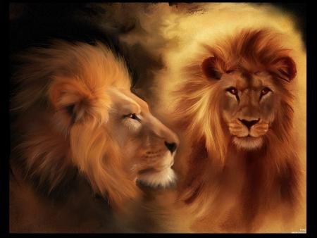 LE ROI DE LA JUNGLE
